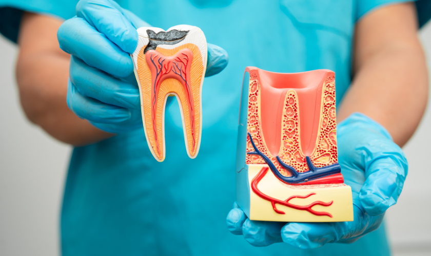 Why Root Canals Aren’t as Scary as Most Patients Think